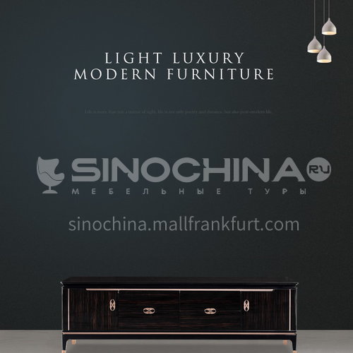BJ-M2-Living room Nordic light luxury simple metal fittings handle wood versatile floor cabinet
